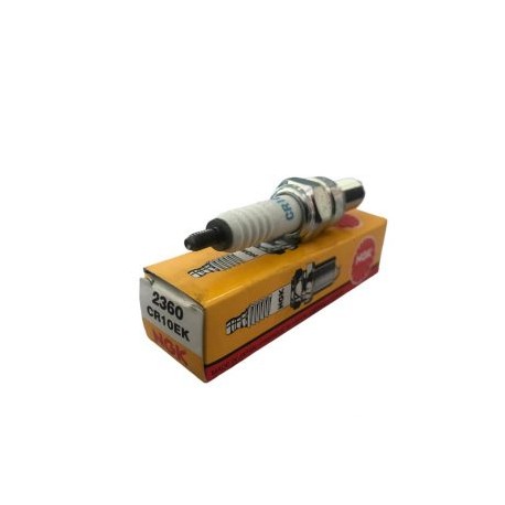 BUJIA NGK CR10EK