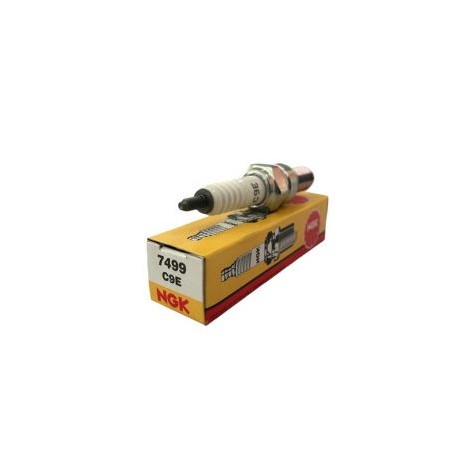 BUJIA NGK C9E